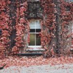 3d开奖840前后关联分析与历史规律深度解析 08d06n