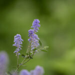 3D开奖专家预测号码最新精准分析推荐 23zcvsp8j8