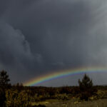 19278期开奖结果震撼揭晓:幸运号码全记录 3b156f0z