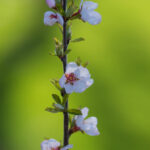 3D开奖777震撼揭晓,幸运号码花落谁家? 7ndced