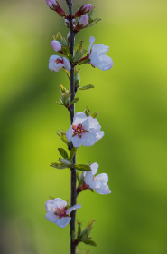 3D开奖777震撼揭晓，幸运号码花落谁家？