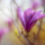 19217期足彩开奖结果揭晓,大奖花落谁家? 9uvg84