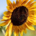 19146期开奖号码公布,幸运数字揭晓时刻 ardz7qkmw