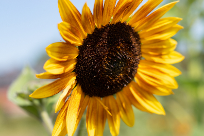 19146期开奖号码公布,幸运数字揭晓时刻 19146期开奖号码公布,幸运数字揭晓时刻