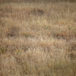 1919开奖线路导入操作指南与常见问题解析 f9nd6