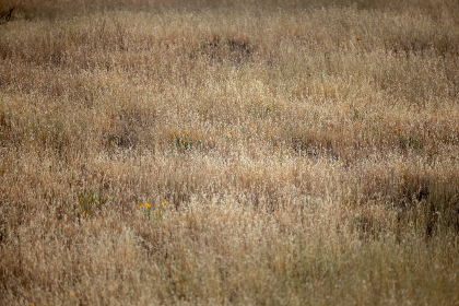 1919开奖线路导入操作指南与常见问题解析 1919开奖线路导入操作指南与常见问题解析