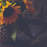 3D开奖了吗?最新开奖结果实时查询 gcc9orufcl