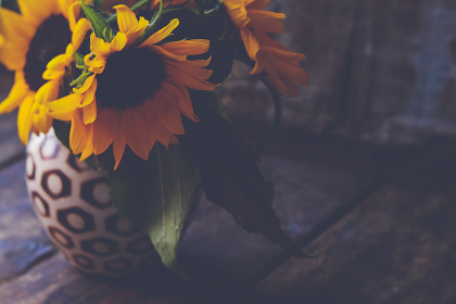 3D开奖了吗?最新开奖结果实时查询 3D开奖了吗?最新开奖结果实时查询