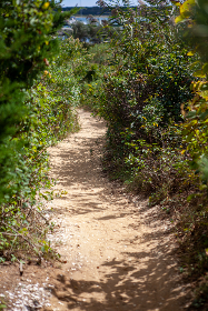 194期开奖号码揭晓:最新中奖结果与幸运数字分析 194期开奖号码揭晓:最新中奖结果与幸运数字分析
