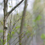 19159期开奖结果震撼揭晓,大奖花落谁家引关注 q1jrklk79