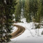 1989年第21期福利彩票开奖结果公告 r0m1vh