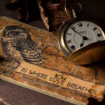 1931直播风云:穿越时空的影像记忆之旅 s5b4n