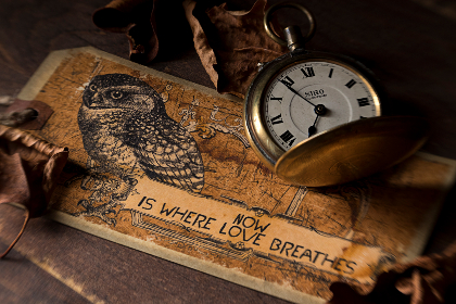 1931直播风云:穿越时空的影像记忆之旅 1931直播风云:穿越时空的影像记忆之旅