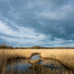 19242期开奖结果正式公布,大奖花落谁家引关注 u6s2a0