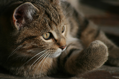 19152期足球开奖结果查询与最新中奖号码公布 19152期足球开奖结果查询与最新中奖号码公布