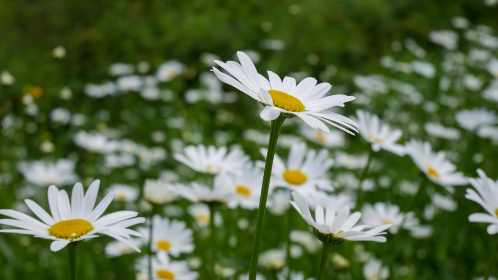 19178期任九开奖结果揭晓,百万大奖花落谁家? 19178期任九开奖结果揭晓,百万大奖花落谁家?